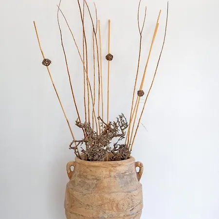 Szálloda Starlight Skala (Kefalonia)