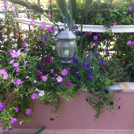 Starlight 4* Skala (Kefalonia)